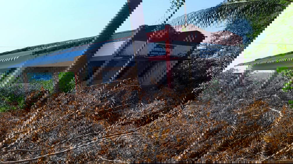 Government Veterinary Hospital