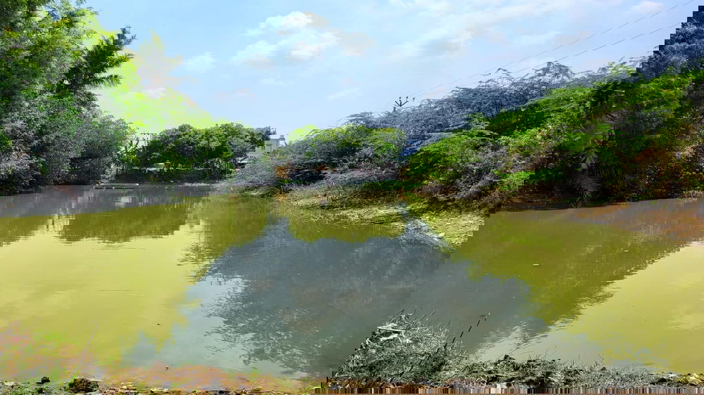 Pond - AK Kuchipalayam
