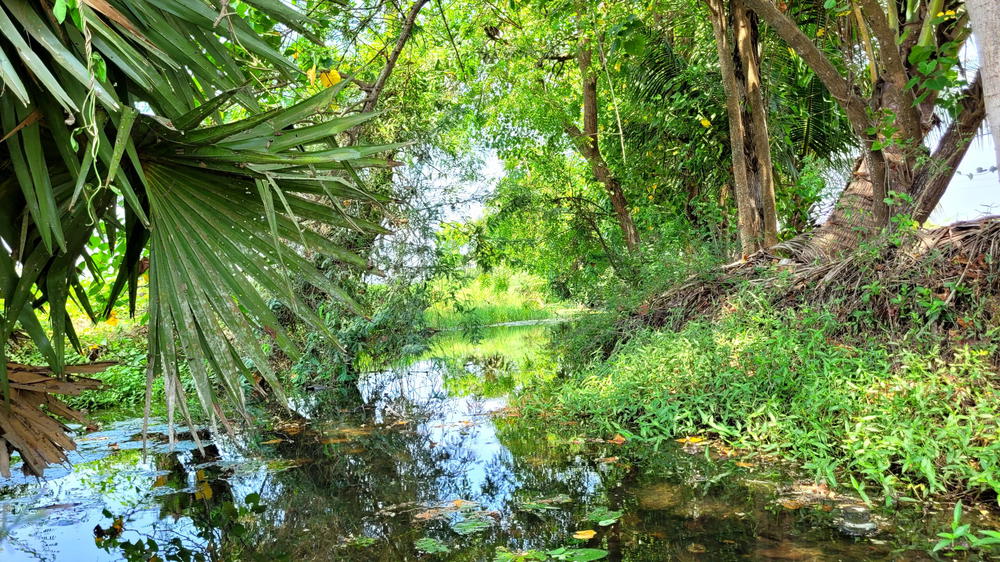 Drain - AK Kuchipalayam