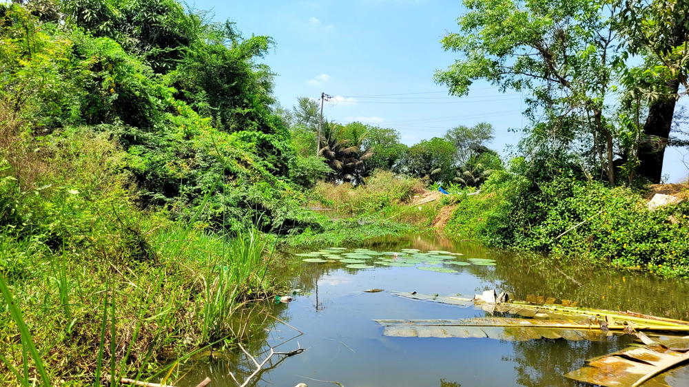 Drain - AK Kuchipalayam