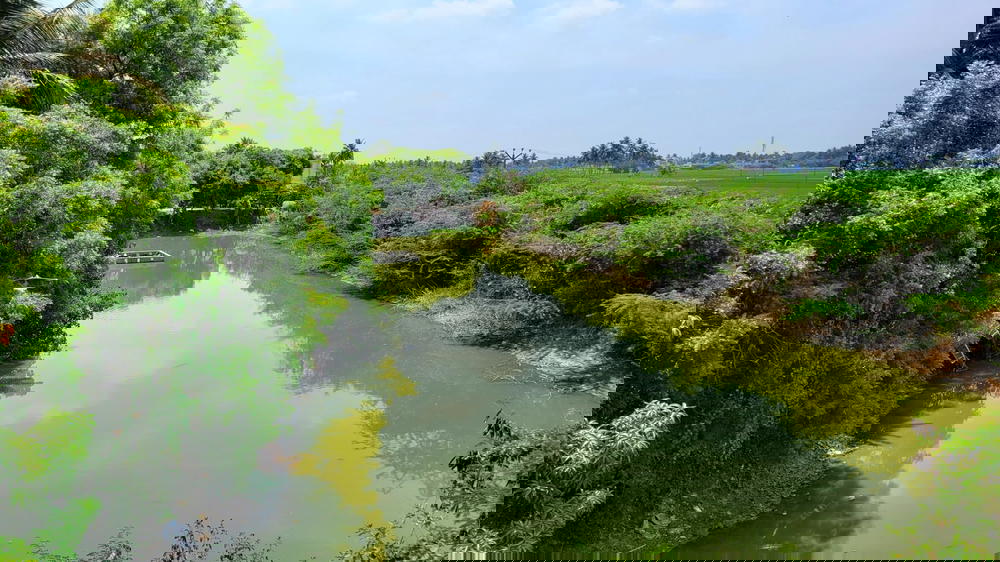 Pond - AK Kuchipalayam