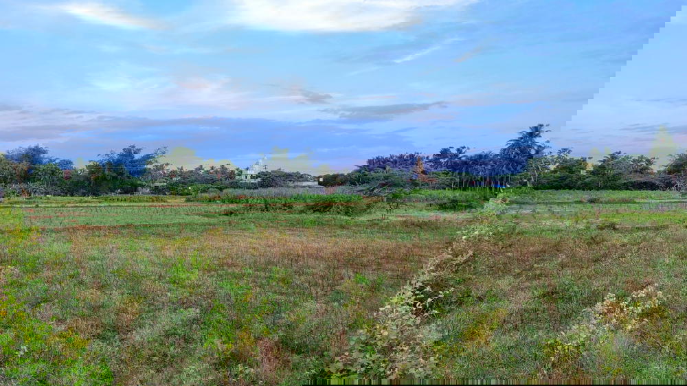 Aanaikoundan Kuchipalayam