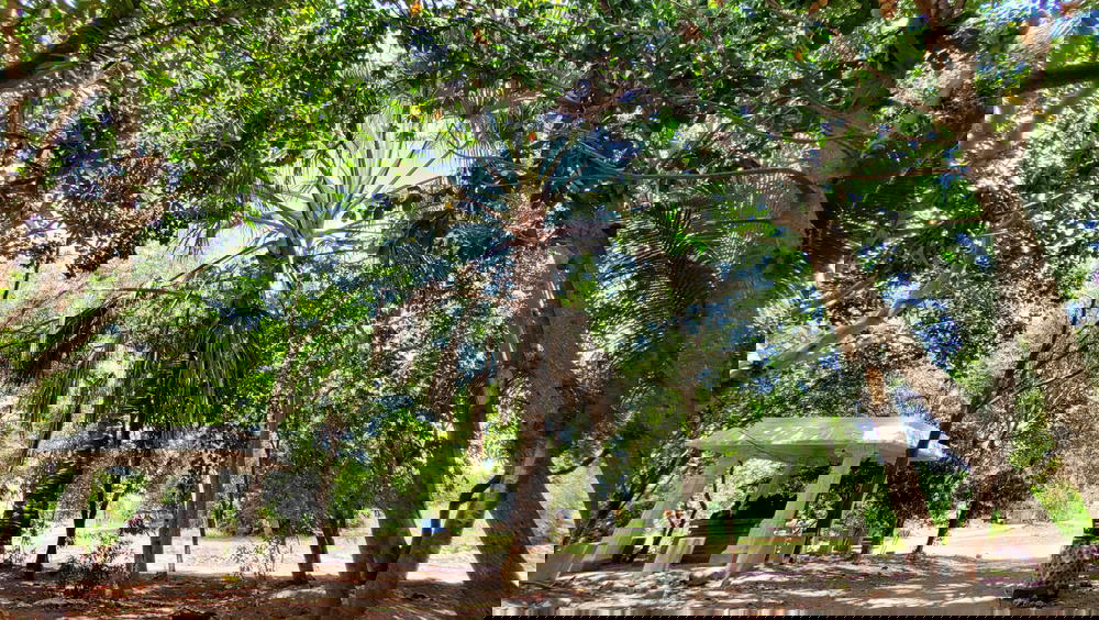 Sri Iyyanarappan Temple