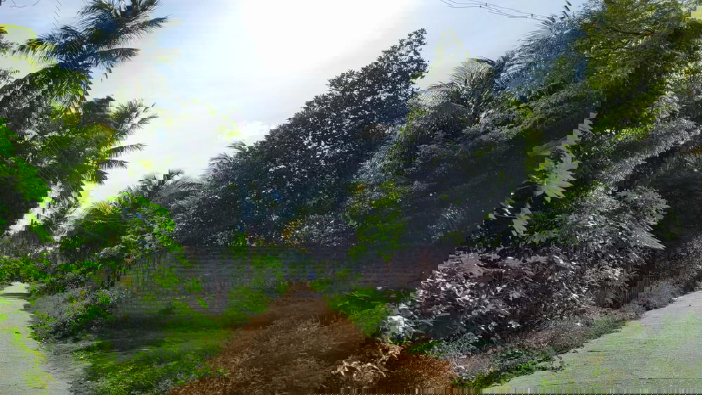 Perumal Kovil Street