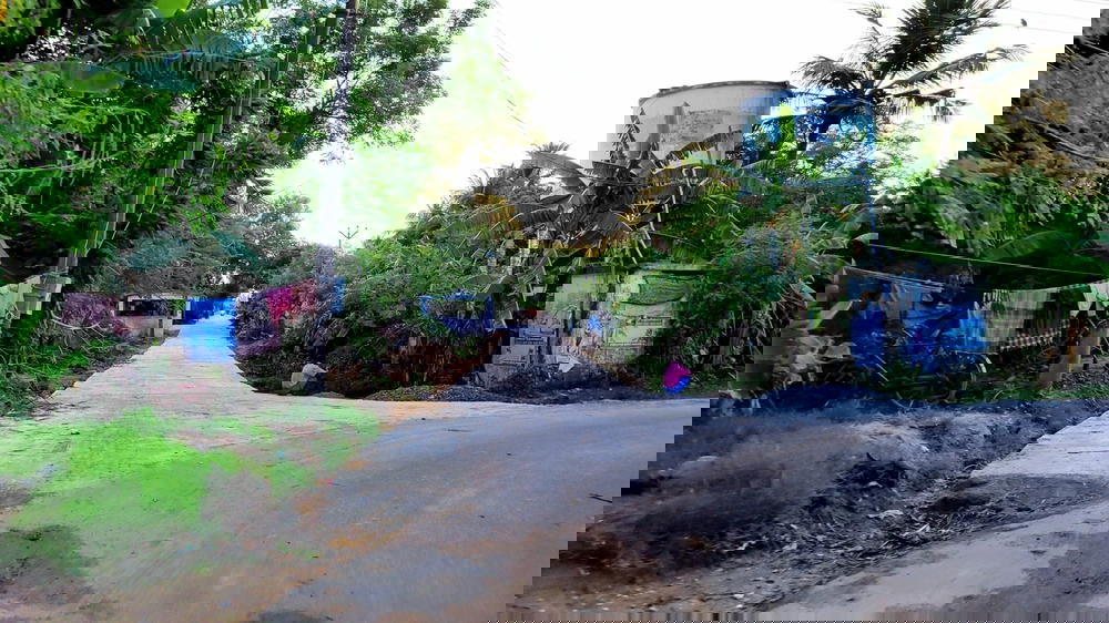 Way to Thiruppachanur