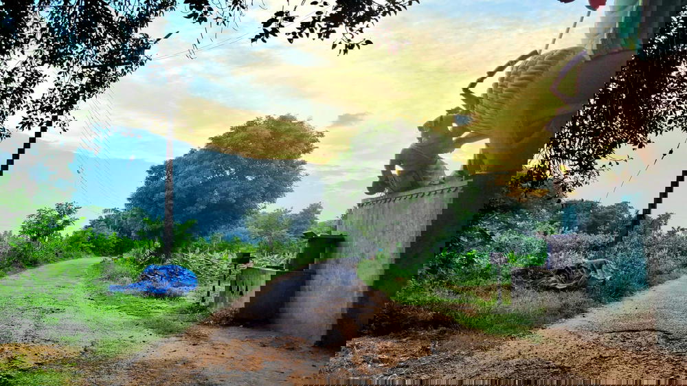 P.Ramanathapuram Main Road On 25/09/2023