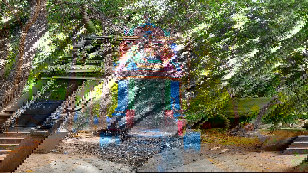 Iyyanarappan Temple - AK Kuchipalayam