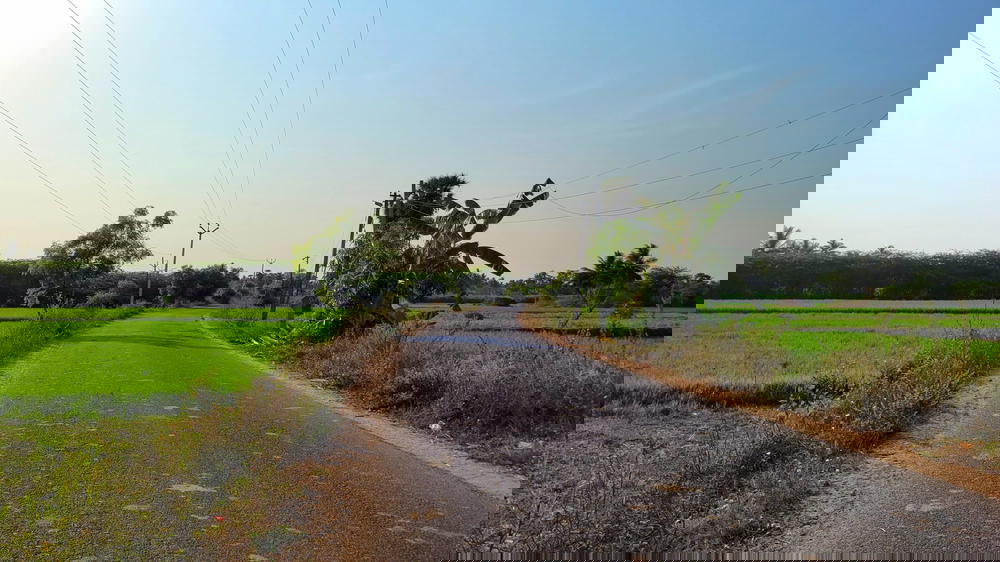 Way to Arasamangalam