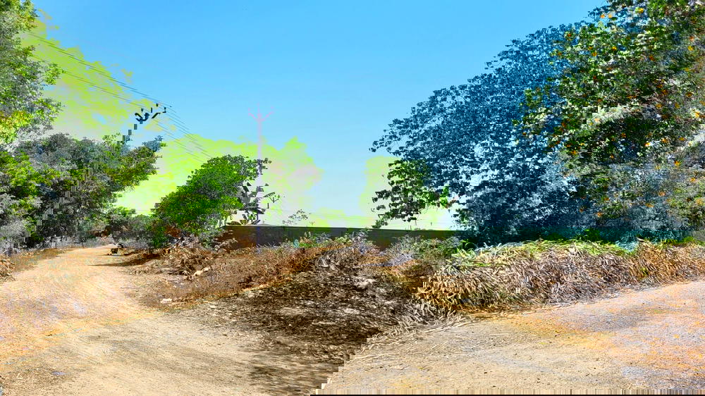 Way to Periyathatchur