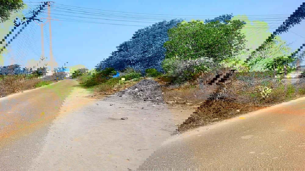 Way to Arasamangalam Colony