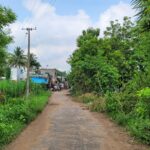 aanangooran kuchipalayam