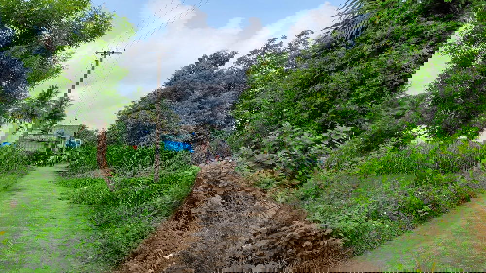 aanangooran kuchipalayam